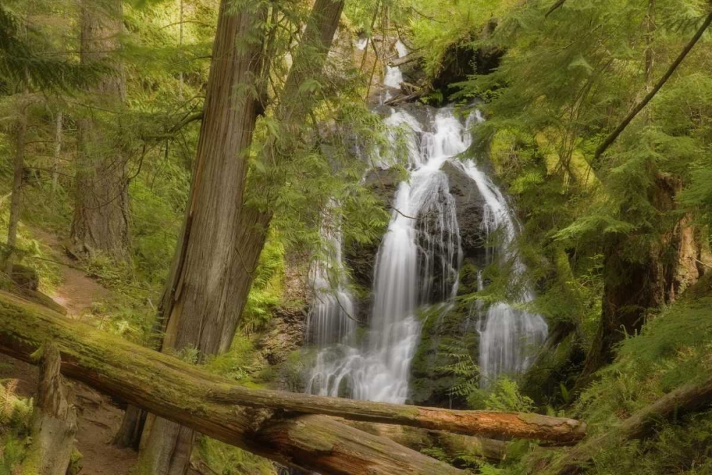 WA, Orcas Isl, Moran SP View of Cascade Falls art print by Don Paulson for $57.95 CAD