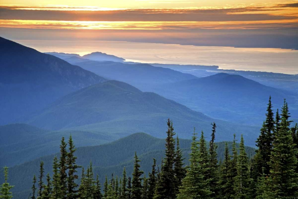 WA, Olympic NP Sunset view from Deer Park art print by Don Paulson for $57.95 CAD