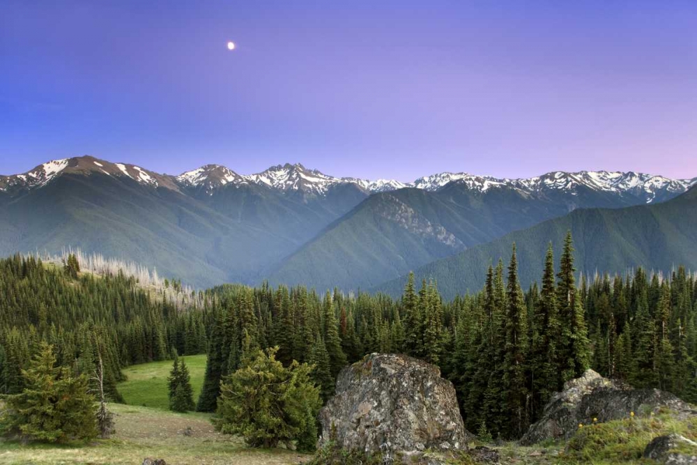 WA, Olympic NP Moonrise viewed from Deer Park art print by Don Paulson for $57.95 CAD