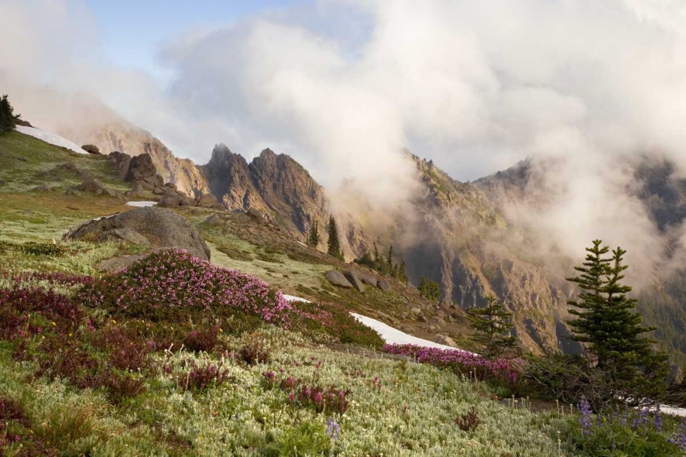 Olympic NP Clouds over meadow and Klahhane Ridge art print by Don Paulson for $57.95 CAD
