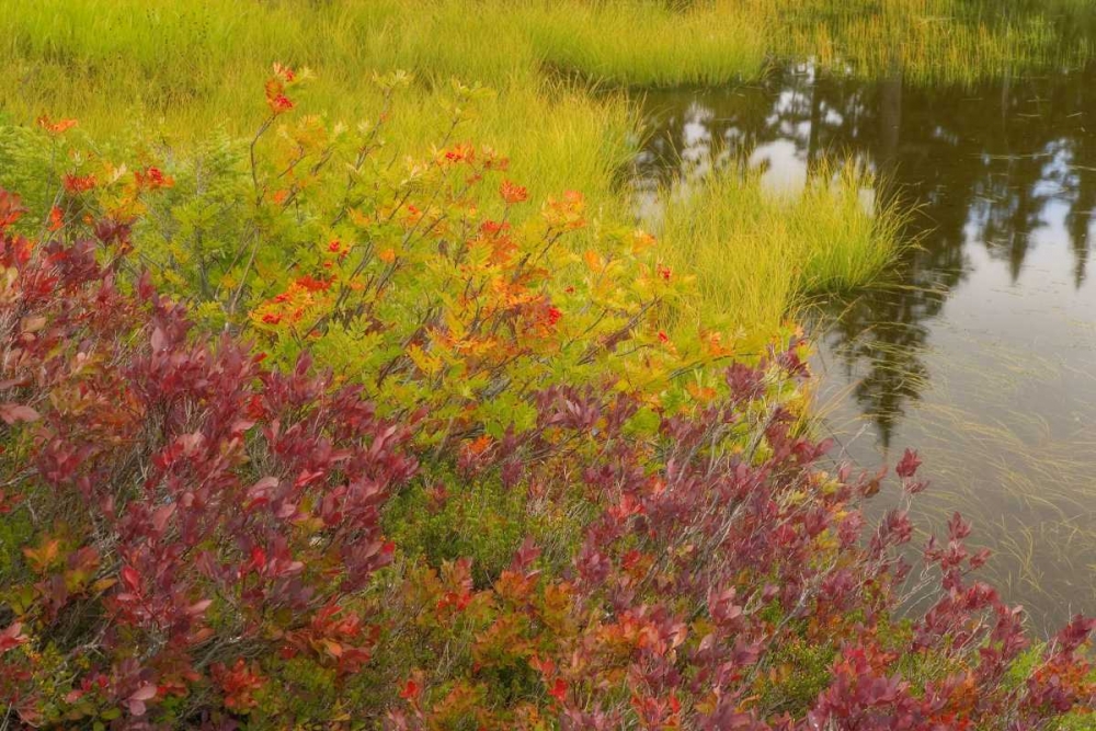 WA, Mt Baker Wilderness, Autumn at Picture Lake art print by Don Paulson for $57.95 CAD