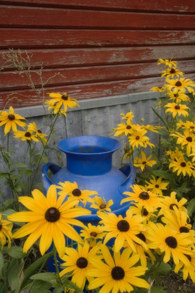 WA, Blue milk can sits amid garden flowers art print by Don Paulson for $57.95 CAD