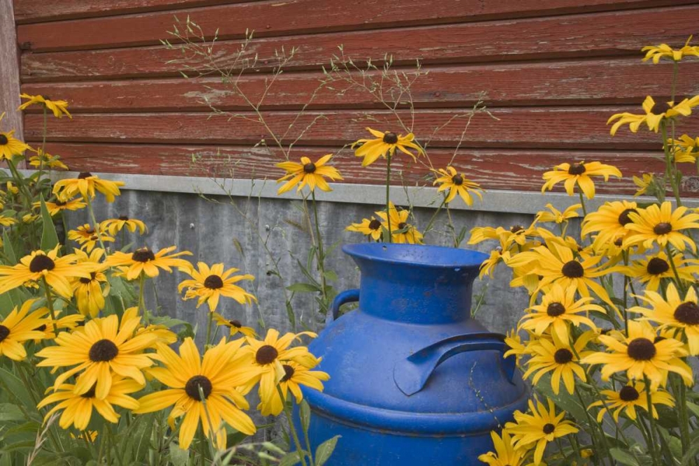 WA, Blue milk can sits amid garden flowers art print by Don Paulson for $57.95 CAD