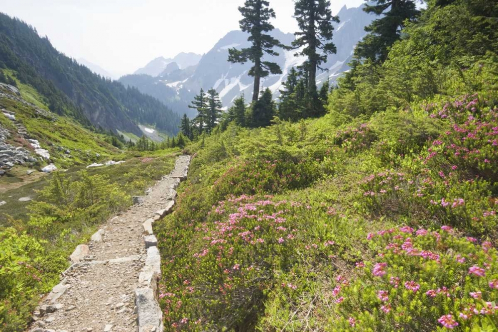 WA, Cascade Pass Hiking trail amid wilderness art print by Don Paulson for $57.95 CAD