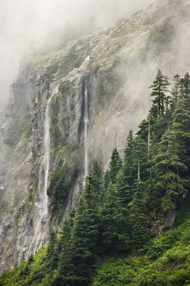 WA, North Cascades NP, Waterfall and fog art print by Don Paulson for $57.95 CAD