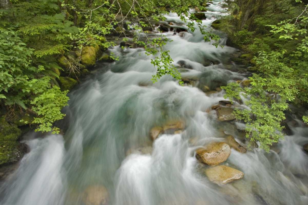 WA, North Cascades Water rushes in Cascade River art print by Don Paulson for $57.95 CAD