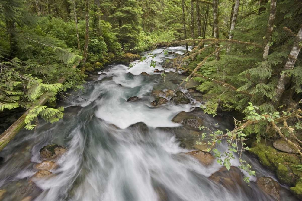 WA, North Cascades Water rushes in Cascade River art print by Don Paulson for $57.95 CAD