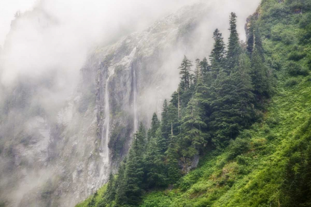 WA, North Cascades NP, Waterfall and fog art print by Don Paulson for $57.95 CAD