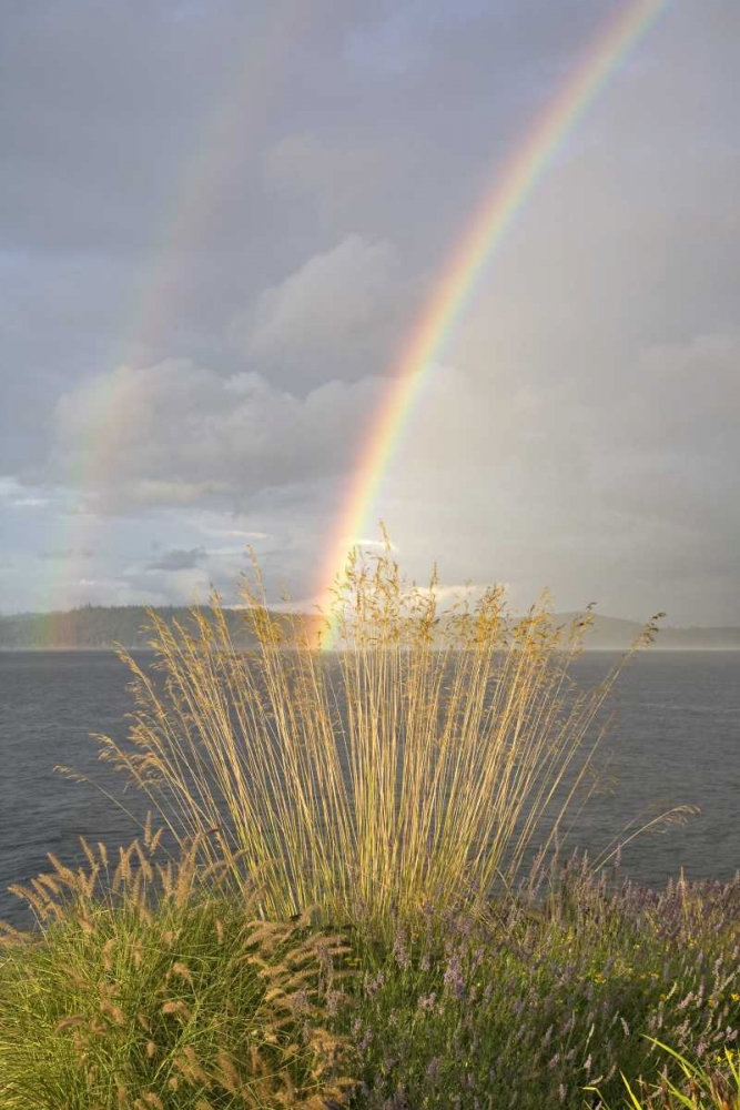 WA, Seabeck Double rainbow over the Hood Canal art print by Don Paulson for $57.95 CAD
