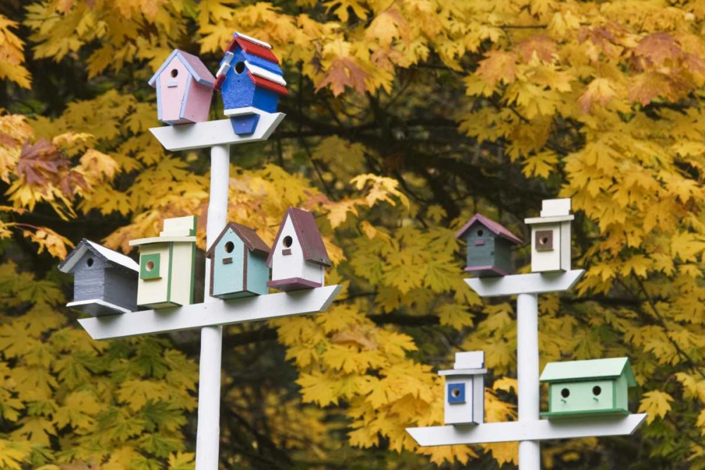 WA, Battle Ground Lake SP Variety of birdhouses art print by Don Paulson for $57.95 CAD