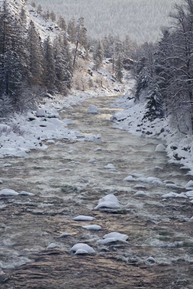 WA, Leavenworth Tees line Wenatchee River art print by Don Paulson for $57.95 CAD