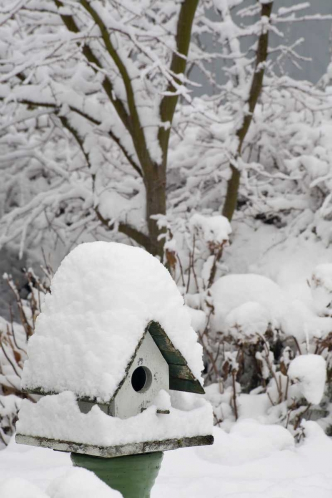 Washington, Seabeck Bird house covered in snow art print by Don Paulson for $57.95 CAD
