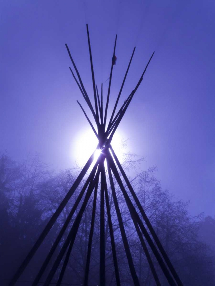 WA, Seabeck Teepee frame backlit by full moon art print by Don Paulson for $57.95 CAD