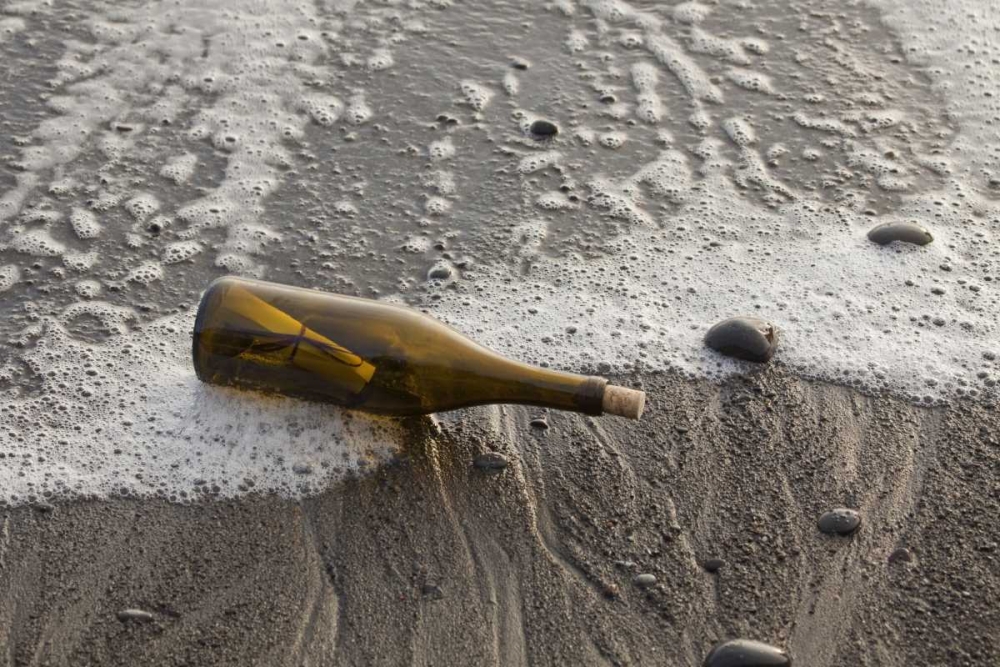 WA, Olympic NP Message in a bottle on shore art print by Don Paulson for $57.95 CAD