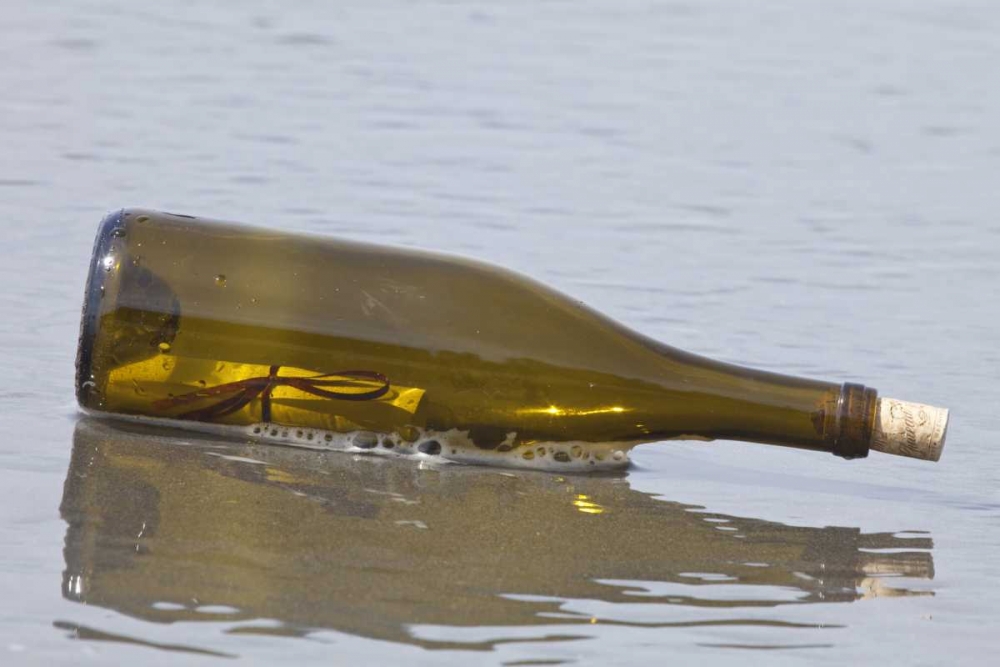 WA, Olympic NP Message in a bottle on shore art print by Don Paulson for $57.95 CAD