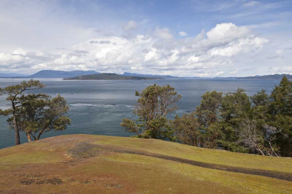 WA, San Juans Scenic overlook on Stuart Island art print by Don Paulson for $57.95 CAD