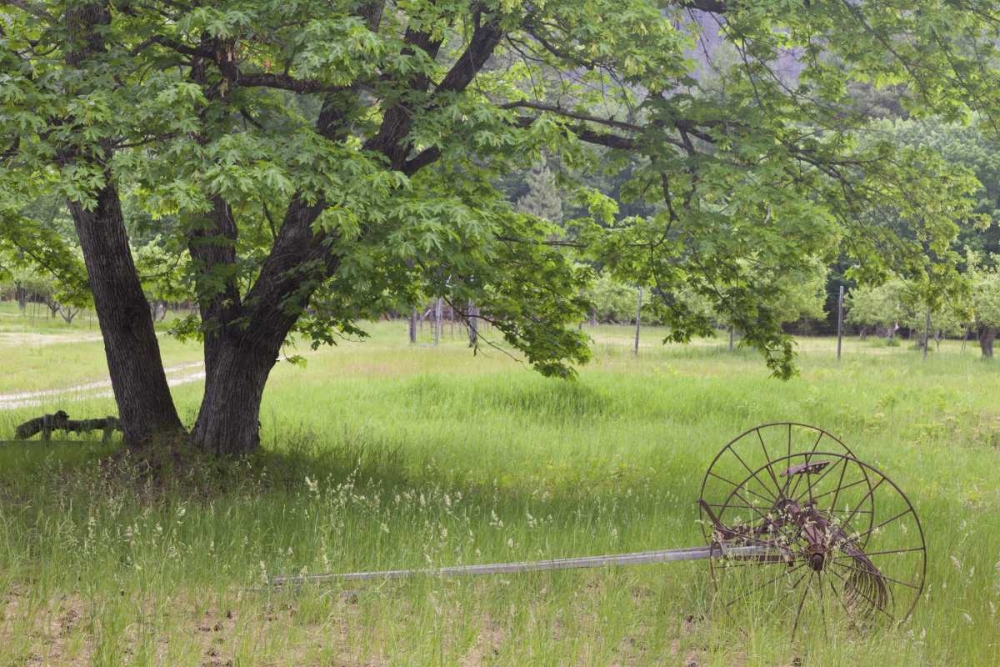 WA, Stehekin Buckner Orchard and Homestead art print by Don Paulson for $57.95 CAD