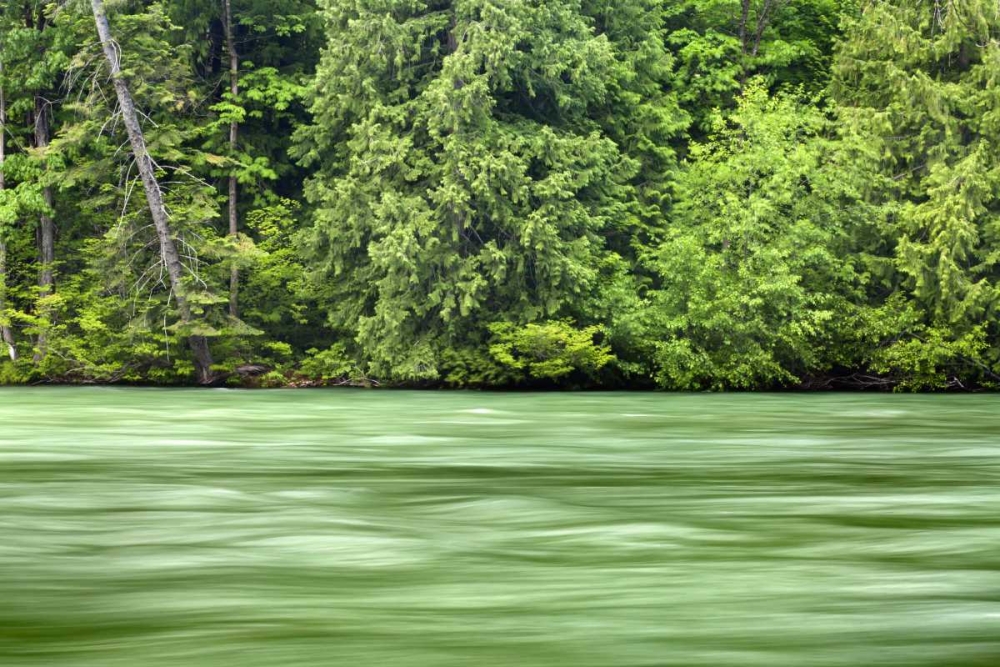 WA, Stehekin Stehekin River through the Cascades art print by Don Paulson for $57.95 CAD
