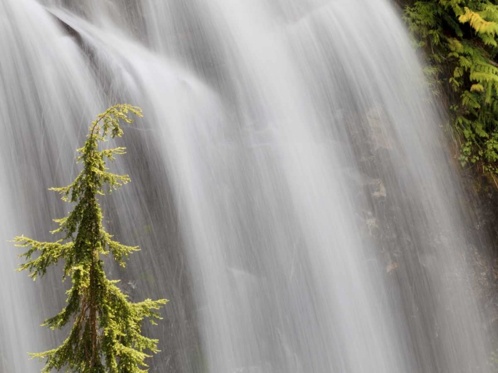 WA, Stehekin Waterfall on the Agnes Gorge Trail art print by Don Paulson for $57.95 CAD