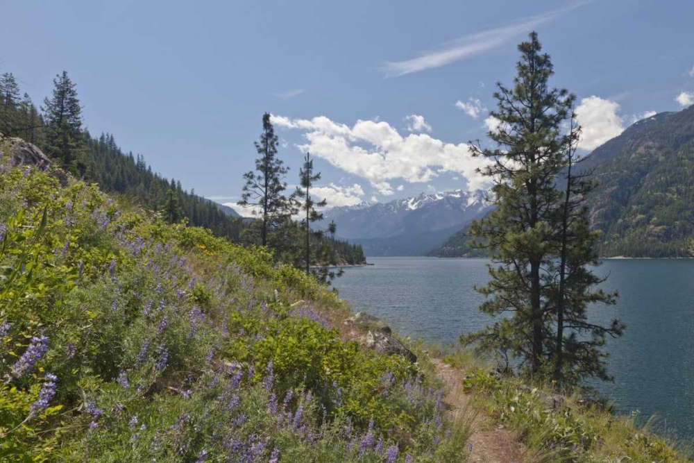Washington, Stehekin Landscape of Lake Chelan art print by Don Paulson for $57.95 CAD