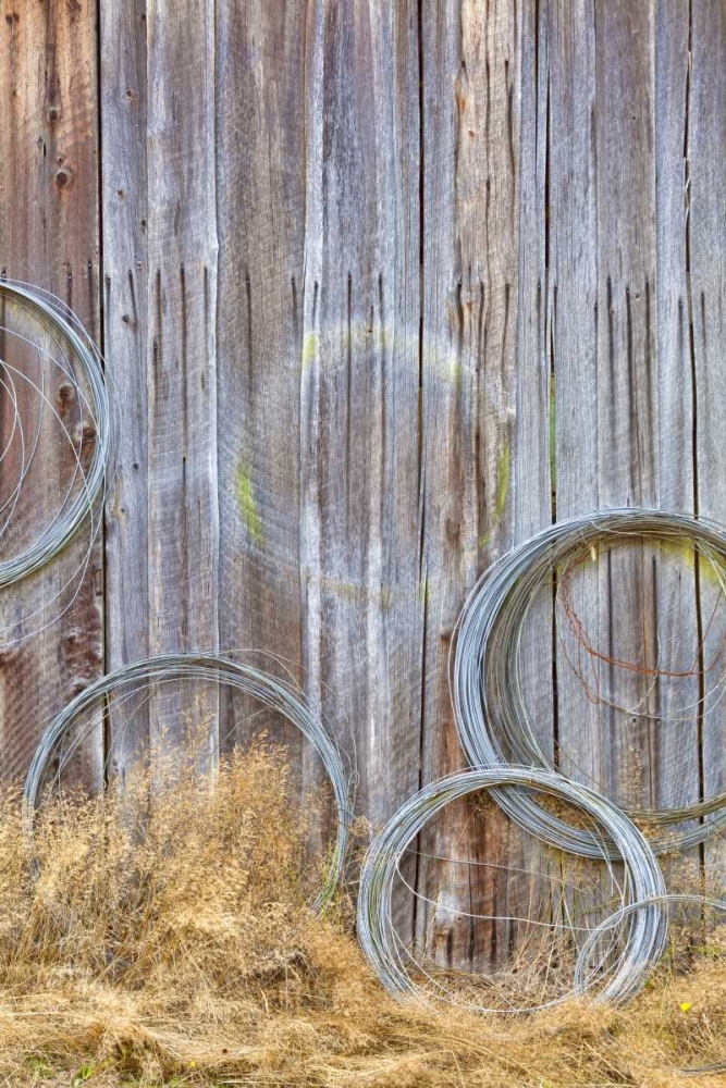 WA, Silverdale Wire coiled on barn wall art print by Don Paulson for $57.95 CAD