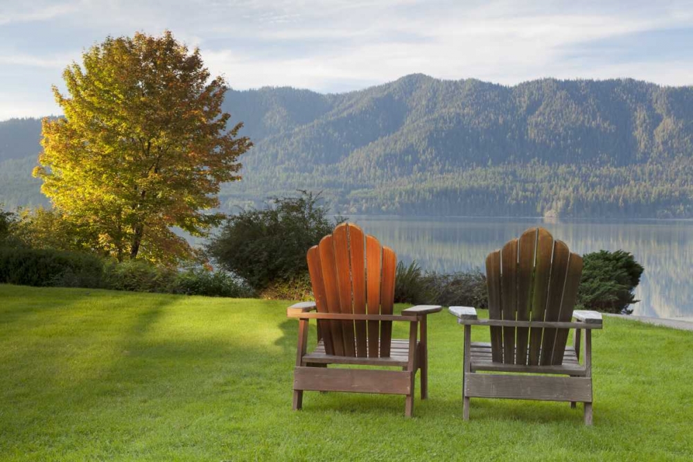 WA, Quinault Landscape view from Quinault Lodge art print by Don Paulson for $57.95 CAD