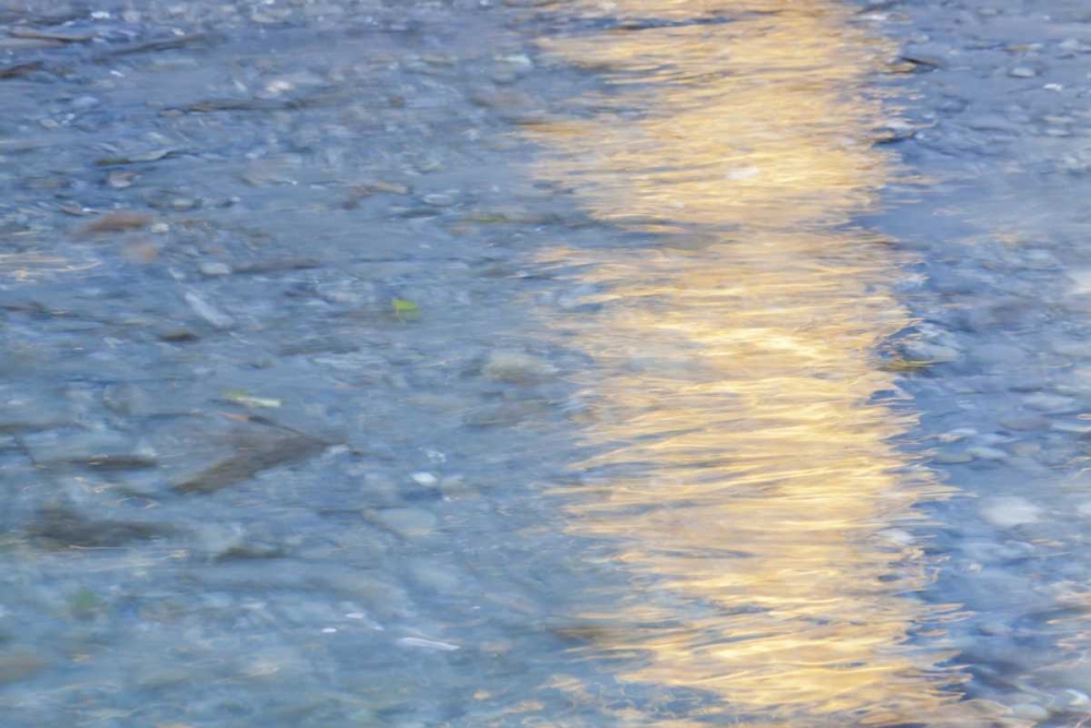 Washington Quinault River in the Olympic NP art print by Don Paulson for $57.95 CAD