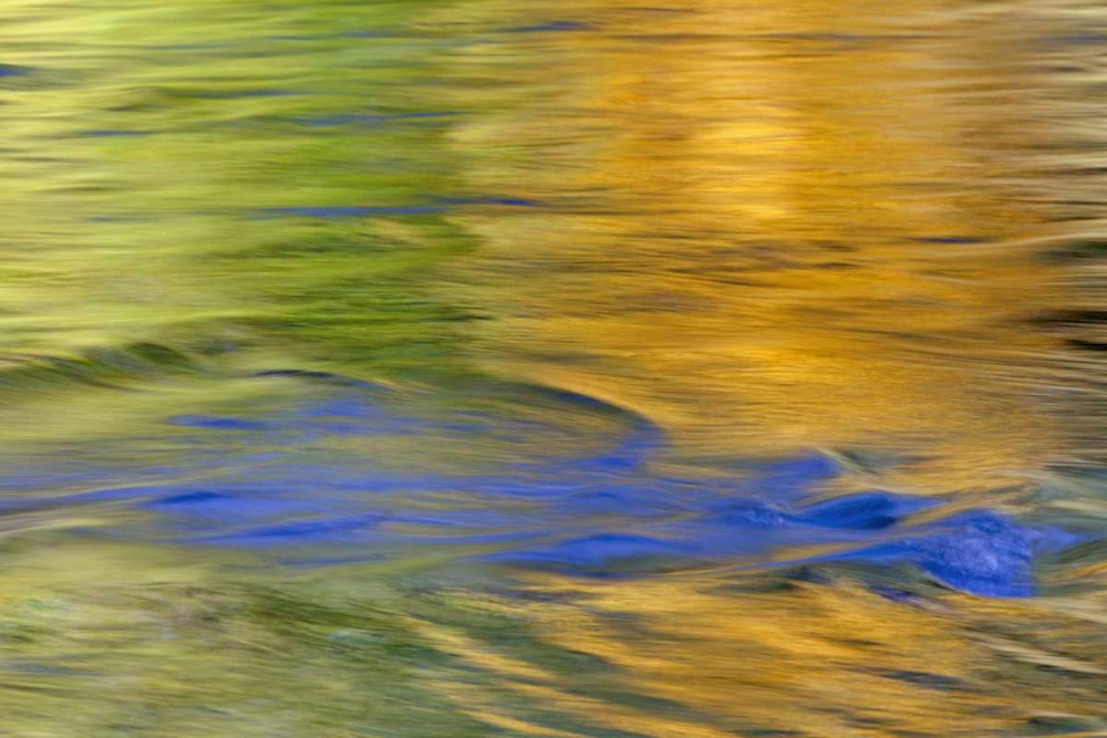 WA, Quinault Autumn reflect in Quinault River art print by Don Paulson for $57.95 CAD