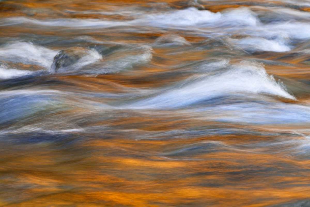 WA, Quinault Autumn reflect in Quinault River art print by Don Paulson for $57.95 CAD