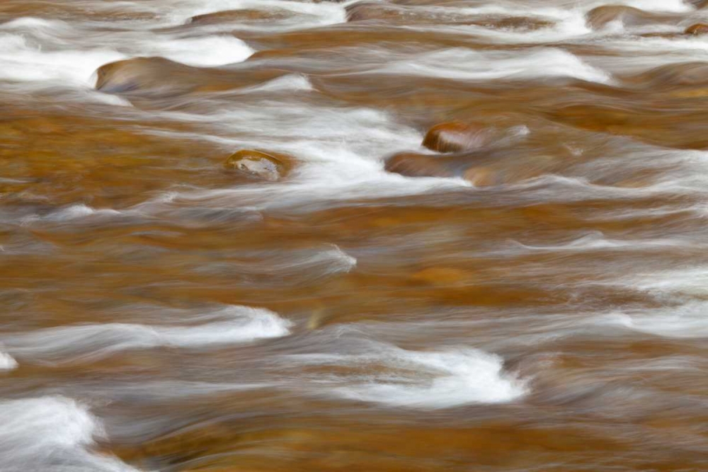 WA, Olympic NP autumn reflects in Solduc River art print by Don Paulson for $57.95 CAD