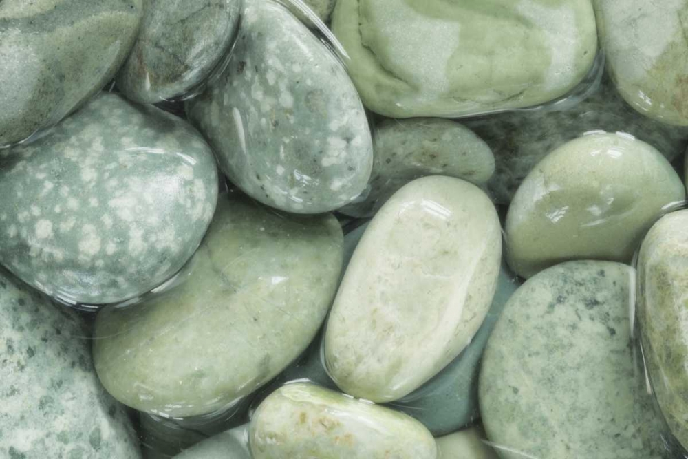 USA, Washington, Seabeck Close-up of wet rocks art print by Don Paulson for $57.95 CAD