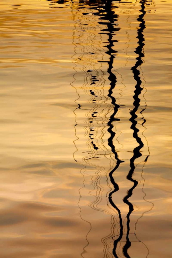 Washington Sailboat mast reflection at sunset art print by Don Paulson for $57.95 CAD