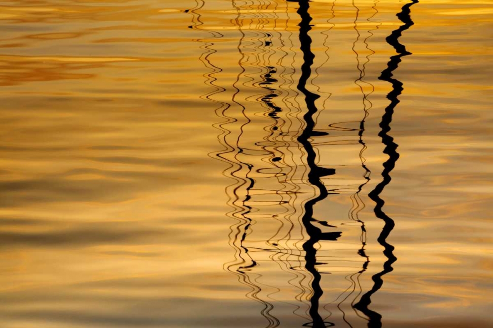 Washington Sailboat mast reflection at sunset art print by Don Paulson for $57.95 CAD