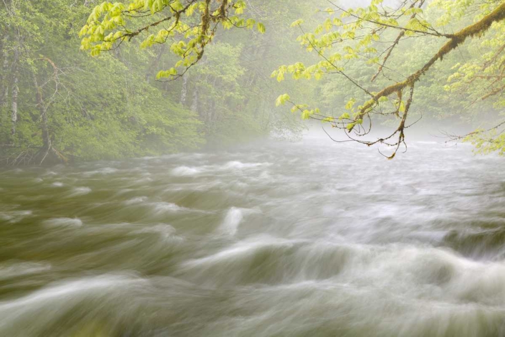 WA, Cascade Mts Cascading water in Beckler River art print by Don Paulson for $57.95 CAD