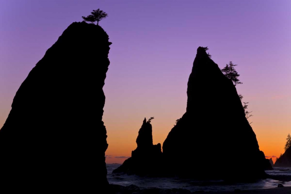 WA, Olympic NP Sunset on Rialto Beach sea stacks art print by Don Paulson for $57.95 CAD