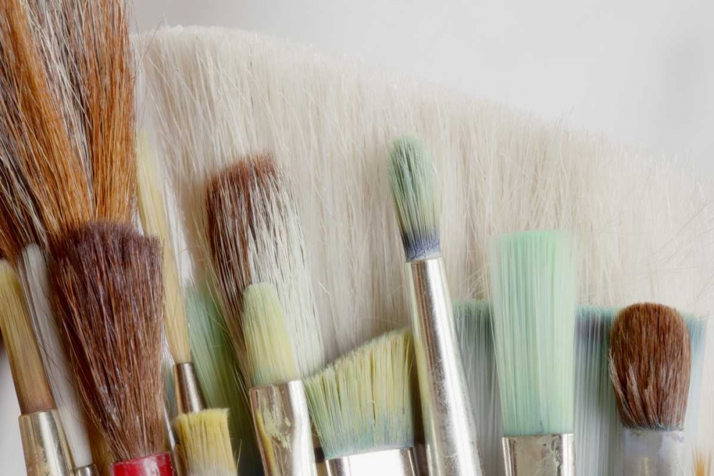 Washington, Seabeck Close-up of artists brushes art print by Don Paulson for $57.95 CAD