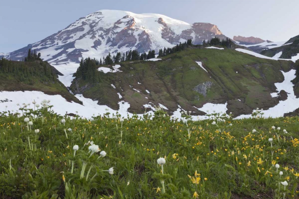 WA, Mt Rainier NP Sunrise on meadow with flowers art print by Don Paulson for $57.95 CAD