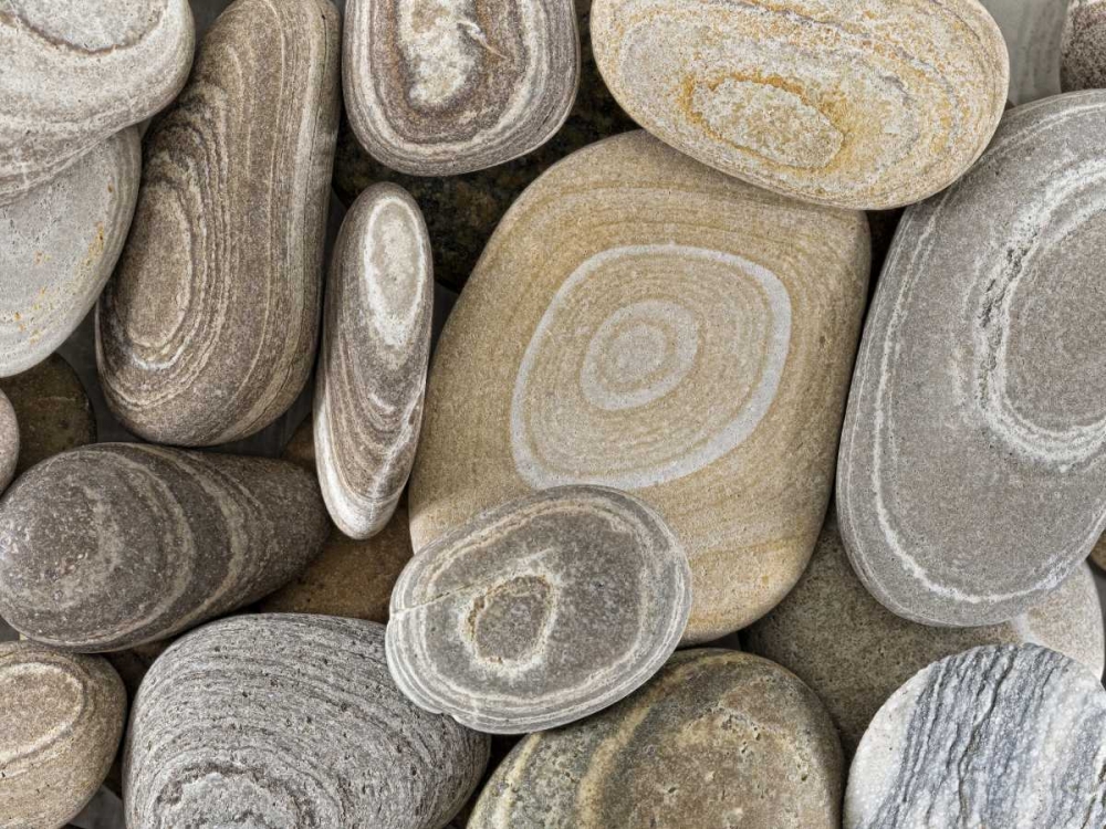 Washington, Seabeck Close-up of beach stones art print by Don Paulson for $57.95 CAD