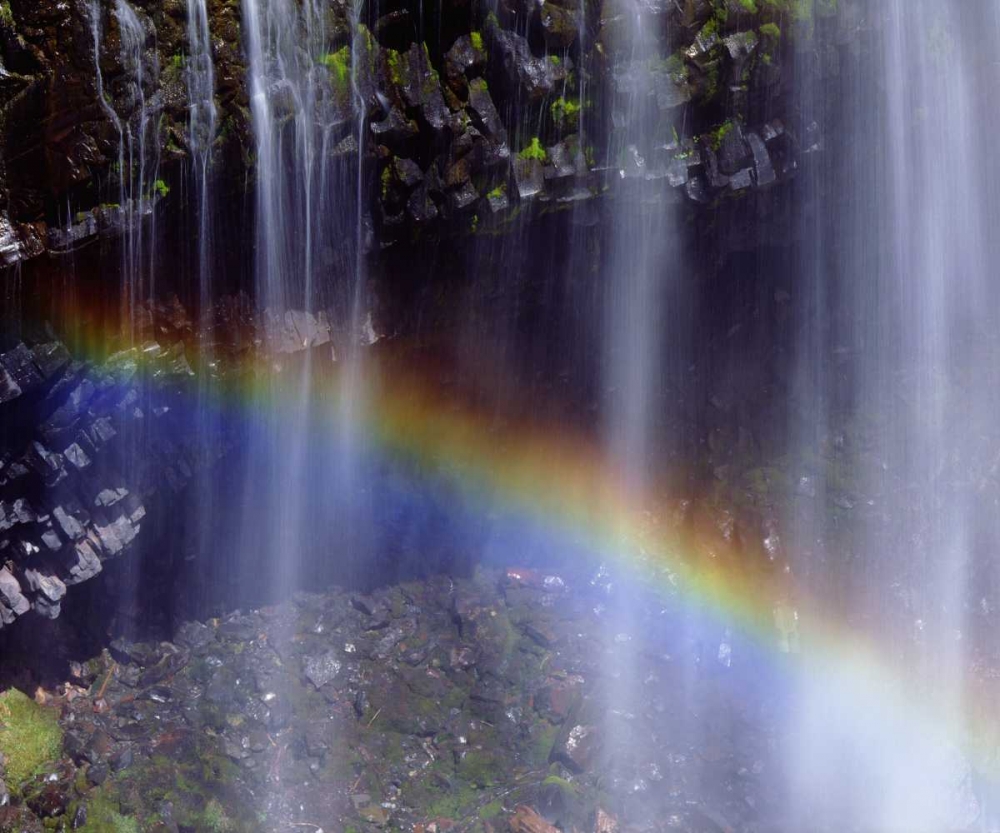 WA, Mount Rainer NP Rainbow at a waterfall art print by Christopher Talbot Frank for $57.95 CAD