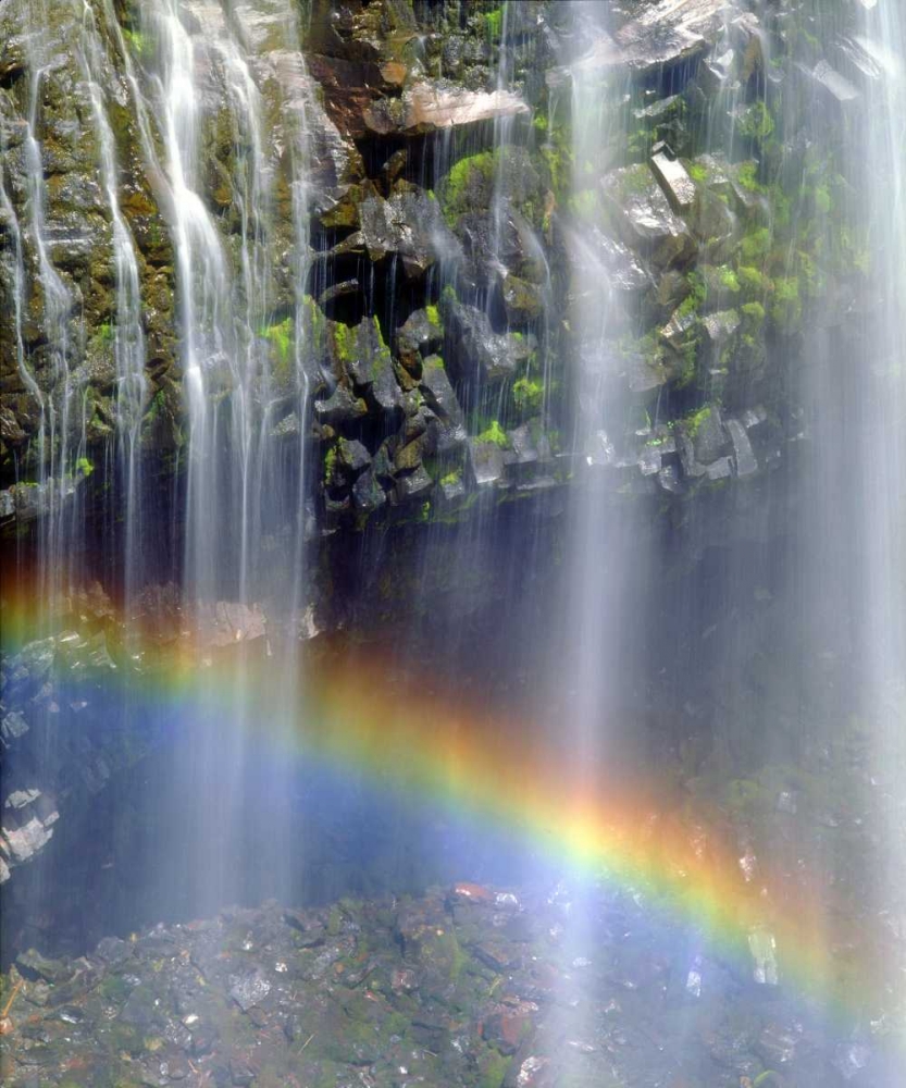 WA, Mount Rainer NP Rainbow at a waterfall art print by Christopher Talbot Frank for $57.95 CAD