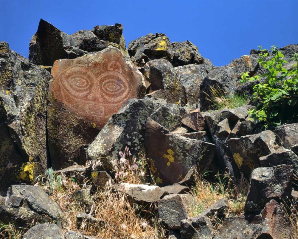 WA, Columbia GorgeTsagaglalal petroglyph art print by Steve Terrill for $57.95 CAD