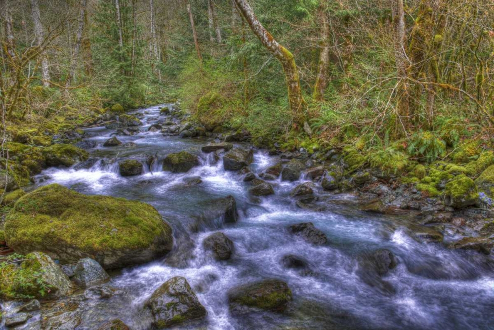 WA, Rocky Brook Falls Stream cascades over rocks art print by Jones Shimlock for $57.95 CAD