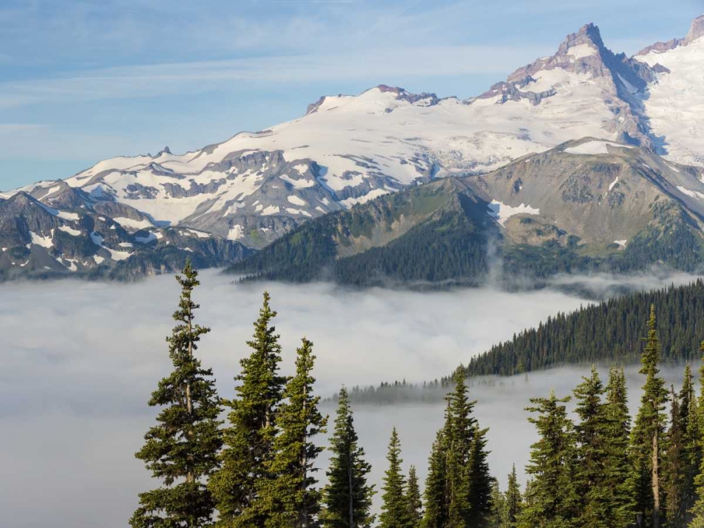 WA, Mt Rainier NP Landscape from Sunrise Point art print by Don Paulson for $57.95 CAD
