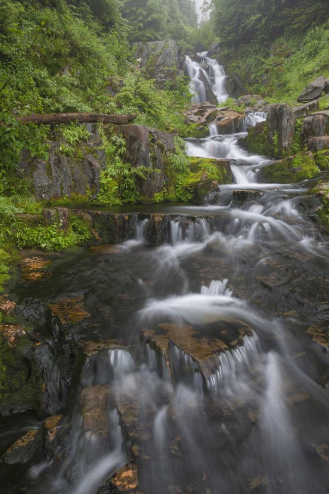 WA, Mount Rainier NP Cascades on Sunbeam Creek art print by Don Paulson for $57.95 CAD