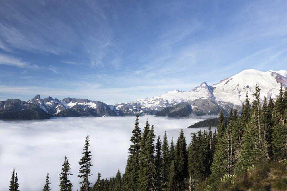 Washington, Mount Rainier NP Sunrise Point art print by Don Paulson for $57.95 CAD