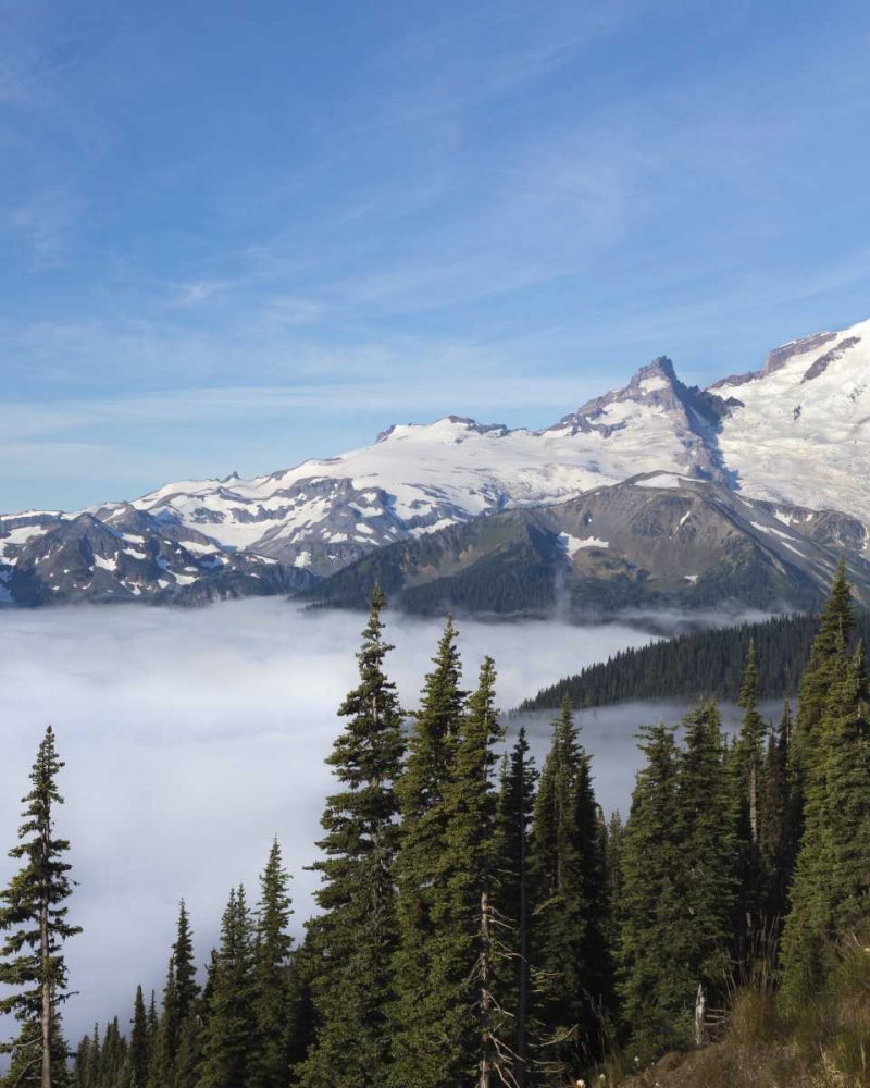 Washington, Mount Rainier NP Sunrise Point art print by Don Paulson for $57.95 CAD