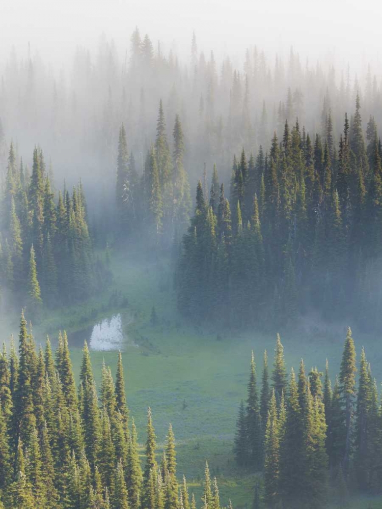 WA, Mount Rainier NP Overview of Surprise Lake art print by Don Paulson for $57.95 CAD