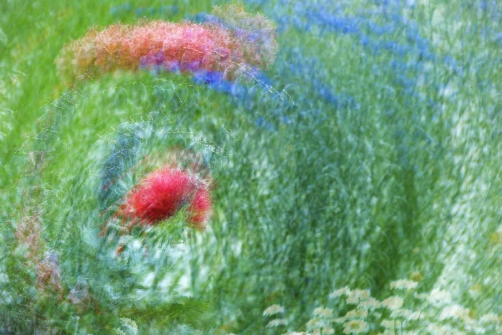 WA, Whidbey Isl Montage of flowers and greenery art print by Marie Bush for $57.95 CAD