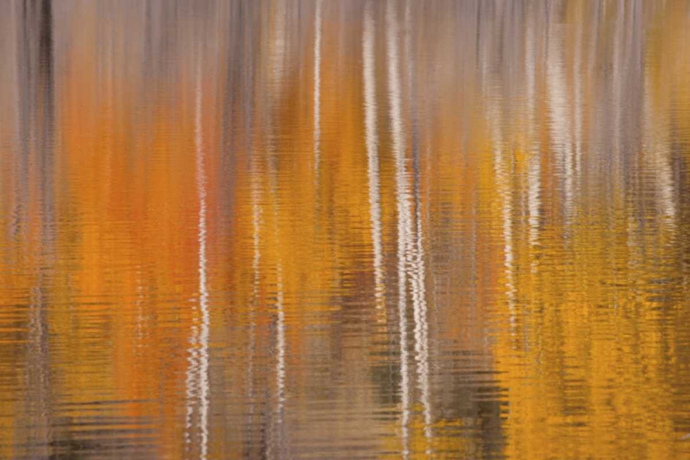 WA, Winthrop Autumn reflections on Beaver Pond art print by Don Paulson for $57.95 CAD