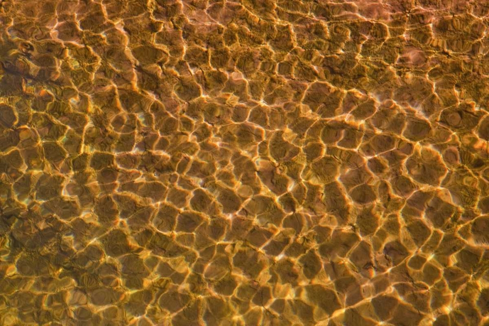 UT, Glen Canyon Sunlight in shallow water art print by Don Paulson for $57.95 CAD